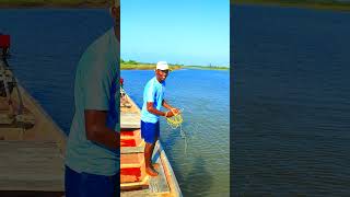 Village amzaing net fishingshortsfeed ytshorts fishingshorts odiafishing odiavlog [upl. by Lilyan852]