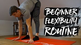 15 Minute Beginner Stretch Flexibility Routine FOLLOW ALONG [upl. by Esor]