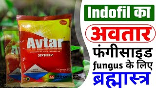 INDOFIL AVTAR  अवतार इन्डोफिल  fungicide  zineb  hexaconacole [upl. by Araas]