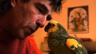 Unbelievable breakfast with my parrot  Happy drivers Gueule de loup Singer Having fun [upl. by Yordan]