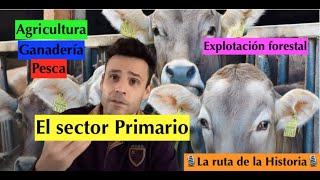 Tema 63ºESO🧑‍🌾 El sector primario 🚜 g🚜 Agricultura🌾 ganadería 🐐 pesca🐟y🌲GEOGRAFÍA [upl. by Enilarac]