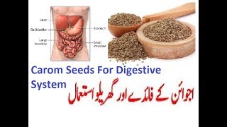 Carom Seeds  Ajwain K Faiday Or Uska Istmal UrduHindi English [upl. by Paynter]