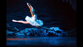 Swan Lake  Full Performance  Live Ballet [upl. by Ahsyekat]