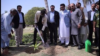 Peshawar Zalmi captain Darren Sammy plants a tree at Governor House Karachi [upl. by Gottlieb]