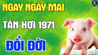 Nghe Được Mệnh Trời Tuổi TÂN HỢI 1971 Trời Ban Lộc Vua Chúa Bất Ngờ Trúng Lớn Ngay Ngày Mai [upl. by Mayrim]