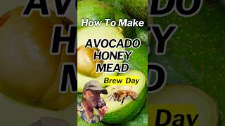 How To Make Avocado Honey Mead  Brew Day [upl. by Autrey93]