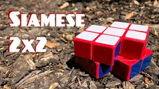 Fully Functional Siamese 2x2  FDM Printed Twisty Puzzle [upl. by Cela724]