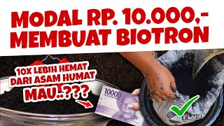 MODAL Rp 10000 LEBIH HEMAT DARI ASAM HUMAT MAU MEMBUAT BIOTRON  BIOCHAR AKTIF PENYUBUR TANAH [upl. by Ahsier]