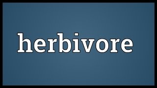 Herbivore Meaning [upl. by Lleret584]