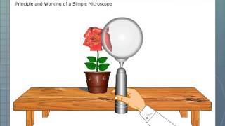 Simple Microscope [upl. by Manno276]