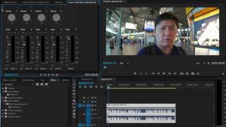 Quick tip Denoise Audio in Premiere Pro by Chung Dha [upl. by Auqinaj]