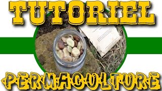 🌿  Tutoriel Permaculture   Semer les fèves en février climat montagnardSemiContinental 🌿 [upl. by Lamb]