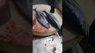 Tuna Fish Cutting Skillsyoutubeshortsshorts [upl. by Lamek]