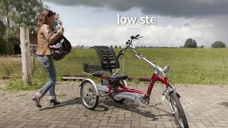 Tricycle for adults New video available [upl. by Nekial670]