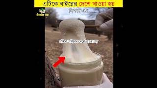 molasses food by শিক্ষার পথ [upl. by Amek]