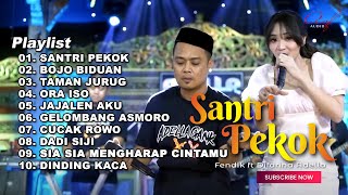 SANTRI PEKOK  FENDIK ADELLA ft DIFARINA INDRA ADELLA FULL ALBUM TERBARU 2023 [upl. by Wolpert980]