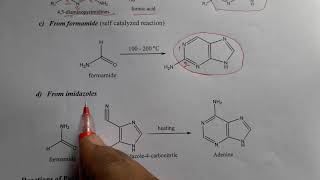 PURINE  Synthesis Reactions and Medicinal uses [upl. by Hcib83]