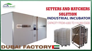 Industrial Incubator Setter and Hatcher  Capacity from 4800 to 115200 eggs [upl. by Ahearn88]