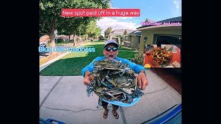 Awesome day Blue Crabbing Crystal River Catch clean and cook [upl. by Redwine]