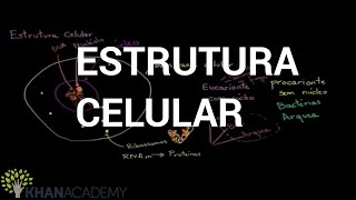 Estrutura Celular  Biologia  Khan Academy [upl. by Bruce]