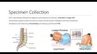 Ch 9 Part 1 CSF Analysis [upl. by Culliton]