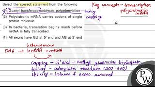 Select the correct statement from the following 1 Guanyl transferase catalyses polyadenylation [upl. by Catlee]