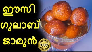 Easy gulab jamun in malayalam  ഈസി ഗുലാബ് ജാമുൻ [upl. by Acinomad]