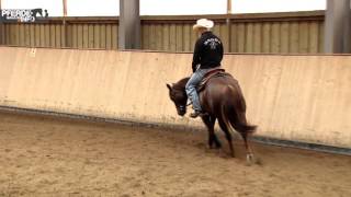 Westerntraining mit Felix Schnabel  Hinterhandwendung aus dem Trab [upl. by Erie]