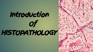 Introduction OF Histopathology Define Histopathology MLTLearningStation [upl. by Anilosi]