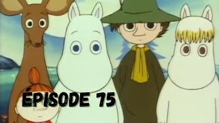 Les Moomins  Ep75  Une fabuleuse émeraude SDFR [upl. by Bozuwa]