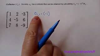 Minors and Cofactors of a Matrix [upl. by Edme198]