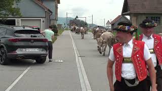 Öberefahre Appenzell 170824 [upl. by Chud]