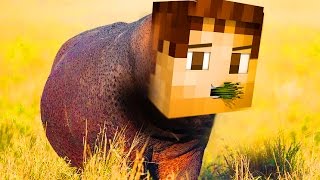 WOOFLESS THE HIPPO GOD MINECRAFT 18 MINI GAME HUNGRY HIPPOS [upl. by Nirra616]