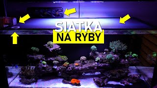 DIY🛠️ Siatka na Ryby 🐟🐠🐡  po taniości 😮 [upl. by Jentoft]