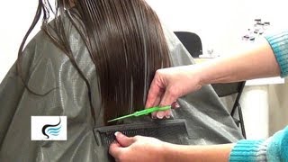 How to Straight Cut Hair  Step by Step Tutorial Back Tutorial [upl. by Zednanref154]