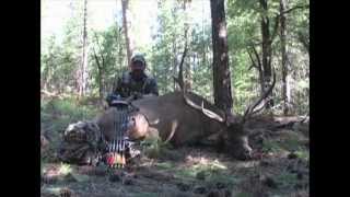 Awesome Archery Elk Hunt Shot On Camera [upl. by Basil]