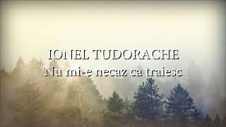 Ionel Tudorache  Nu mie necaz ca traiesc versuri lyrics karaoke [upl. by Lat]