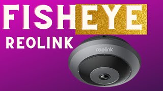 Reolink FishEye Camera Review [upl. by Ostap]