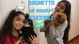 È ORA DI LAVARE I NOSTRI PELOSETTI  🐶🛁🧼 [upl. by Rafaelof]