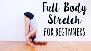 Beginner Stretches for Flexibility [upl. by Enylhsa]