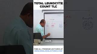 Total Leukocyte Count TLC drnajeeb drnajeeblectures shortvideo youtubeshorts [upl. by Parks]