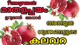 pomegranate benefits മാതളനാരങ്ങയുടെ ഗുണങ്ങൾ [upl. by Edyak119]