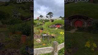 Hobbiton Movie Set Tour in New Zealand 🇳🇿 hobbiton newzealand bilbobaggins hobbitontour shire [upl. by Schlessel89]