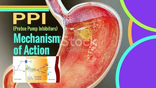 PPI Mechanism of Action  Proton pump inhibitors mechanism of action [upl. by Schram]