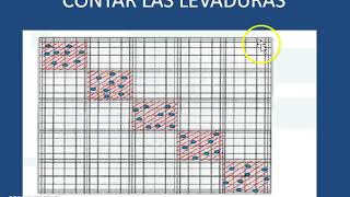 CONTAJE DE LEVADURAS EN CAMARA DE NEUBAUER Y DETERMINACION DE VIABILIDAD [upl. by Ynaffets299]