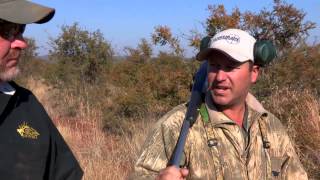 What Are The Best Hunting Calibers For African Game [upl. by Anomas]