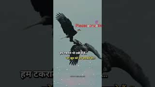 Attitude sayri punjabisong motivation जन्माष्टमी2023 [upl. by Granny380]