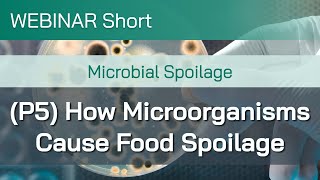 Webinar Short Microbial Spoilage Part 5 How Microorganisms Cause Food Spoilage [upl. by Notak]