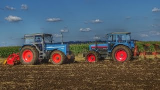 EICHER 3145 amp 3133 bei der Bodenbearbeitung 2016  Ackern und Kreiseleggen mit Eicher Power [upl. by Alliehs]