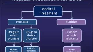 Medical Treatment fro Benign Prostatic Hyperplasia BPHLower Urinary Tract Symptoms LUTS [upl. by Zeidman50]